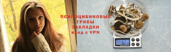 PSILOCYBIN Новозыбков